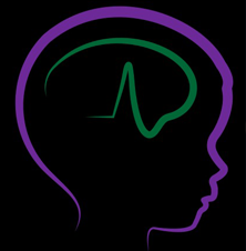 Official Website of The ICNA